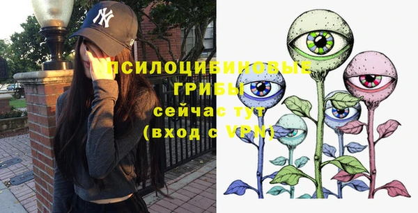 spice Липки
