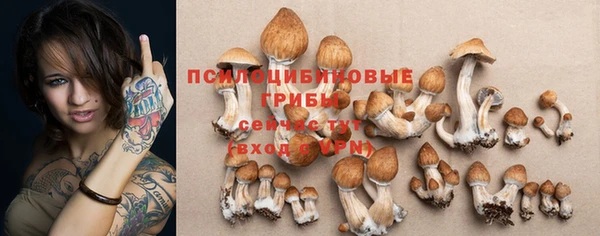 метадон Лиски