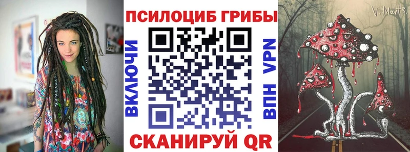 Псилоцибиновые грибы Psilocybe  Нытва 